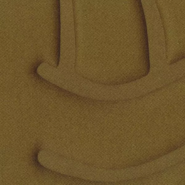 Wave flanelle RM1055 67