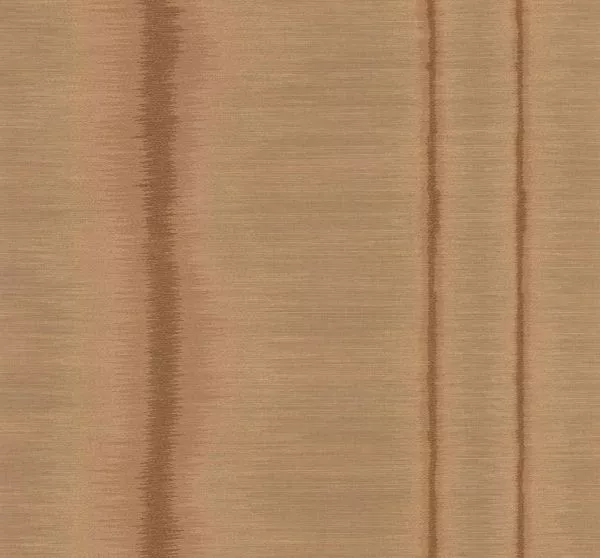 Tissoro RM1078 15 Une vitalité discrète