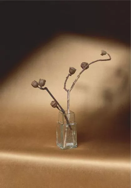 Cocoon RM1087 70 Une deuxième peau