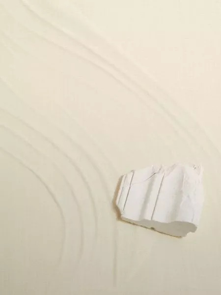 Palimpseste lin RM1093 01