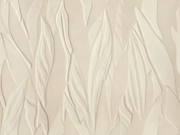 Herbier RM1099 03 Poudre d'Albâtre