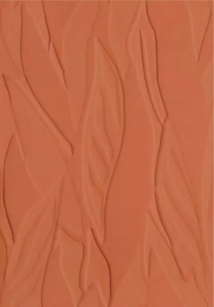 Herbier RM1099 31 Sienne de feu