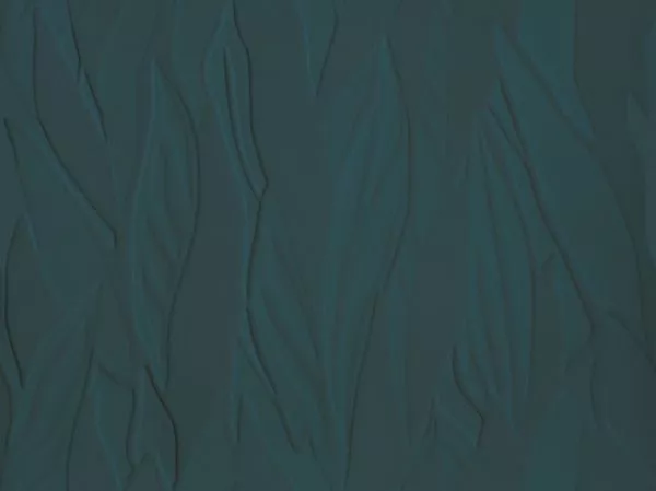 Herbier RM1099 67 Nuit botanique