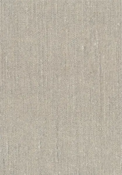 Lin métallisé RM617 92