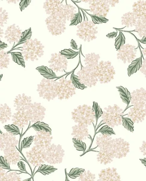 Hydrangea RP7393 Rose