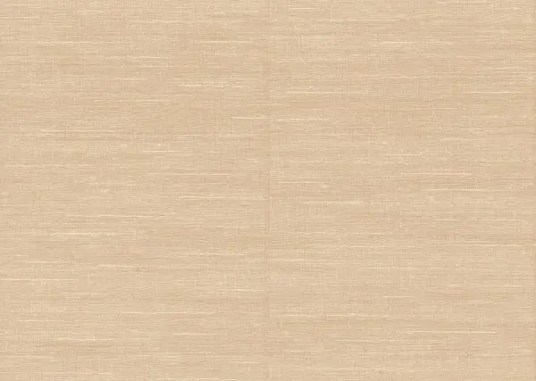 Selvage 55102 Biscuit