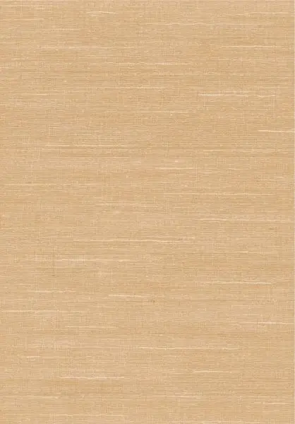 Selvage 55112 Beach