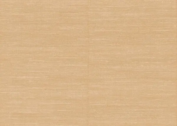 Selvage 55112 Beach