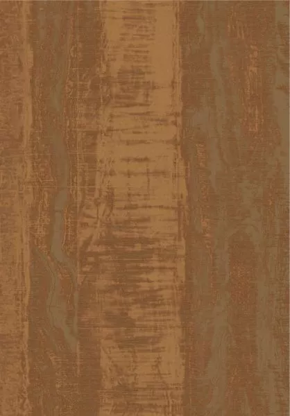 Gneiss tm304 sudan brown