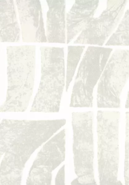 Ondes TP328 01 Conte initiatique