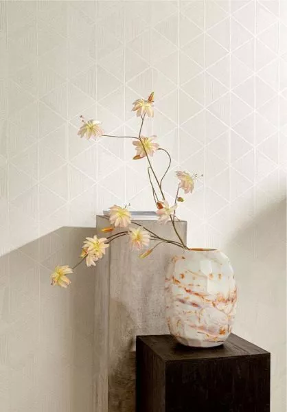 Gisuke Oyster TRA102