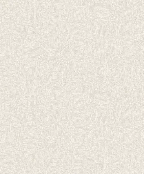 Goanna TUL504 Oyster