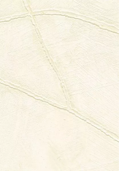 Kintsugi VP1004 01 État de grâce