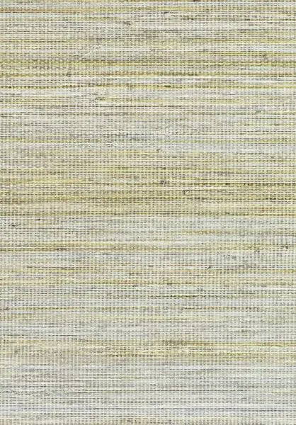 Panama Musa VP710 09