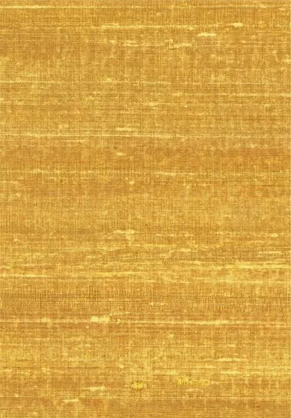 Kosa silk VP928 21 Ebloui la ville