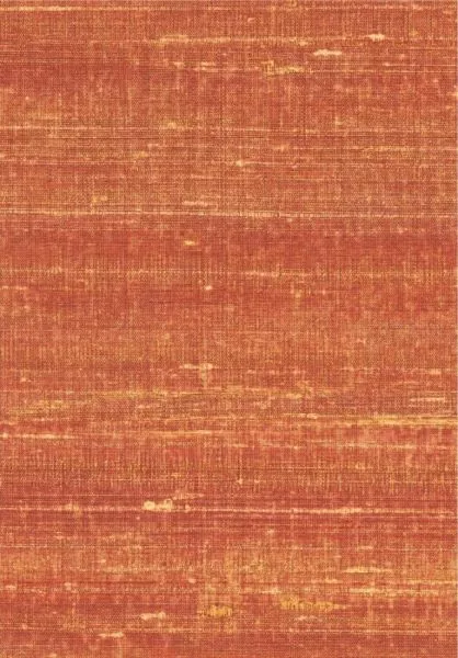 Kosa silk VP928 30 Etreindre le monde