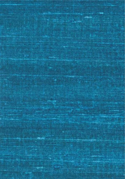 Kosa silk VP928 42 Une vie royale