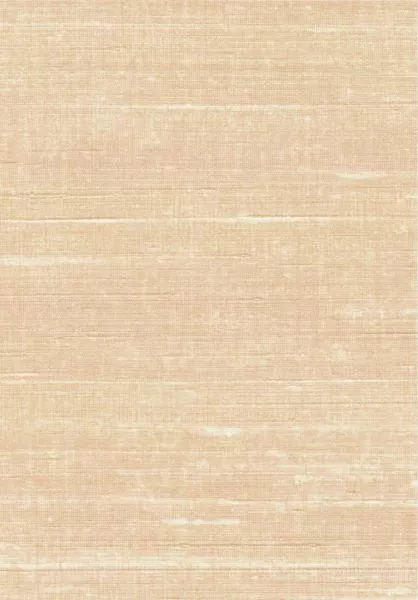 Kosa silk VP928 54 Une douce discrétion