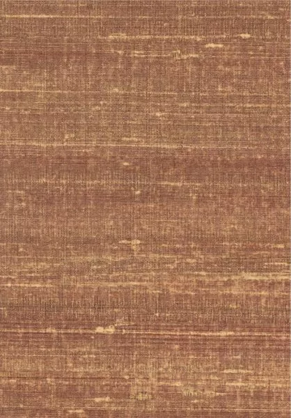 Kosa silk VP928 70 Bercé de lumière