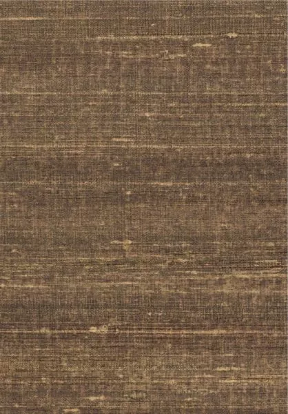 Kosa silk VP928 72 Clair obscur