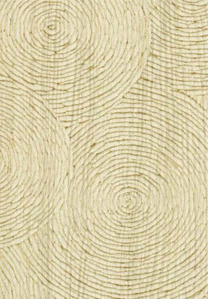 Volute VP937 21 Entre émotion et raison