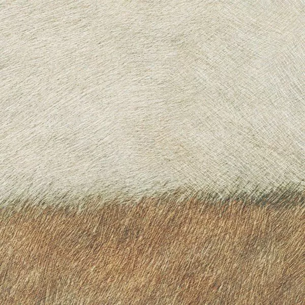 L'habit de Vénus VP970 01