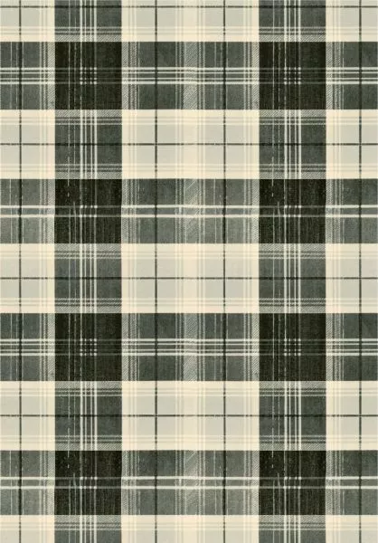 COUNTRYSIDE PLAID Charcoal WP30011