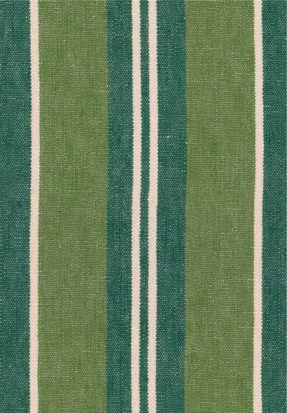 SZEPVIZ Green WP30030