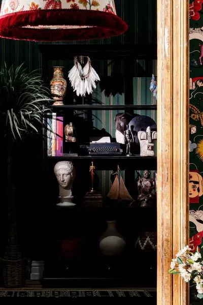 OREGON Evergreen WP30095