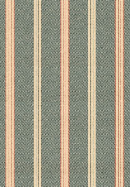 OREGON Washed Blue WP30097