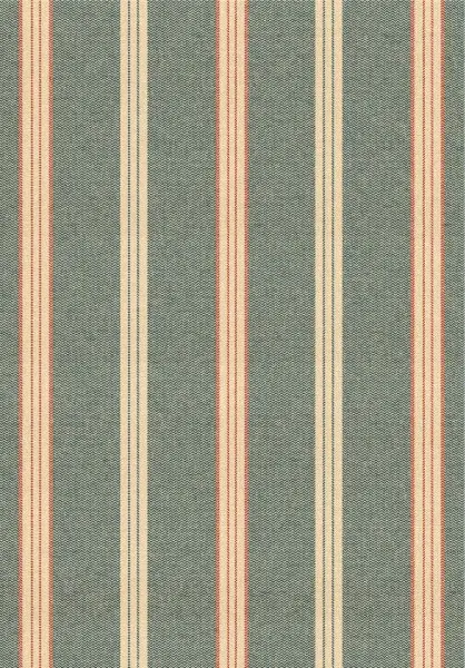 OREGON Washed Blue WP30097