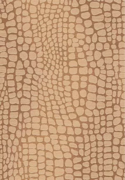 Panthera Lion ZON304