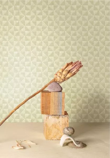 Cora ZEN306 Pistache