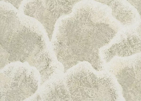 Nefeli 48630 White Gold