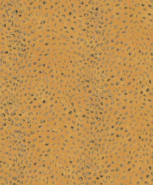 Tender Jungle CAB804