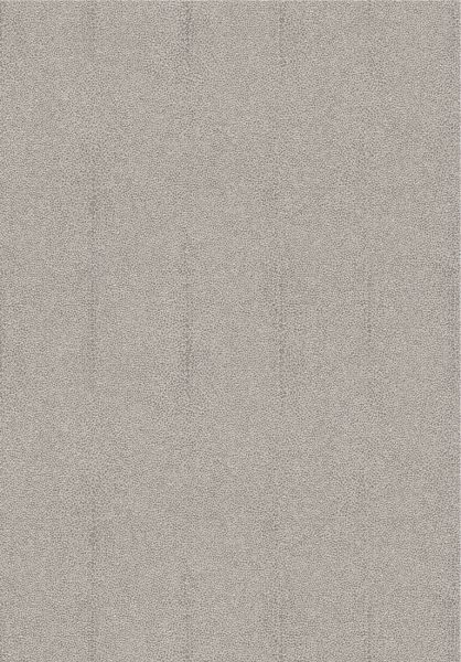 Iguana Moonlight CAB902