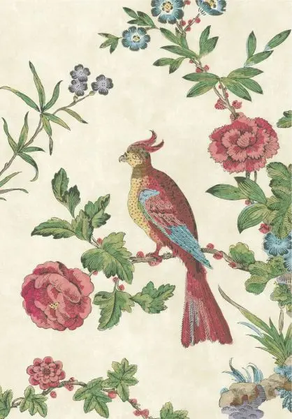 Darwin - Provence