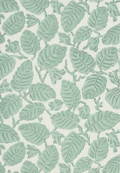 Beech Nut - Rubine