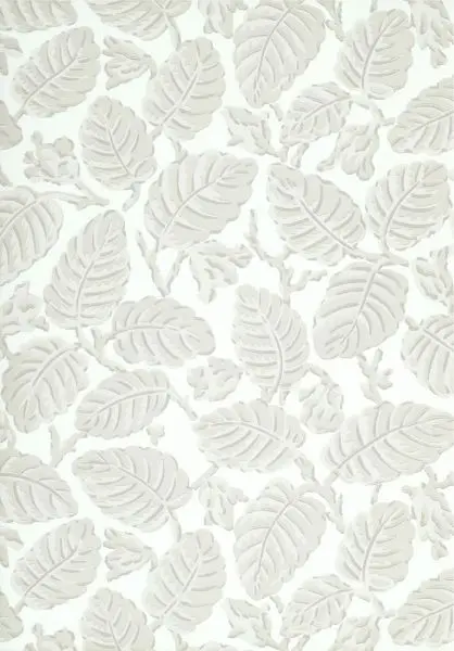 Beech Nut - Warm Grey