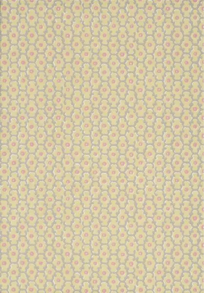 Moy - Lime