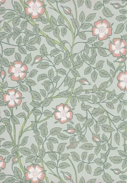 Briar Rose - Salix