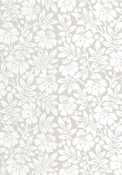 Carlisle Street - Gentle Grey