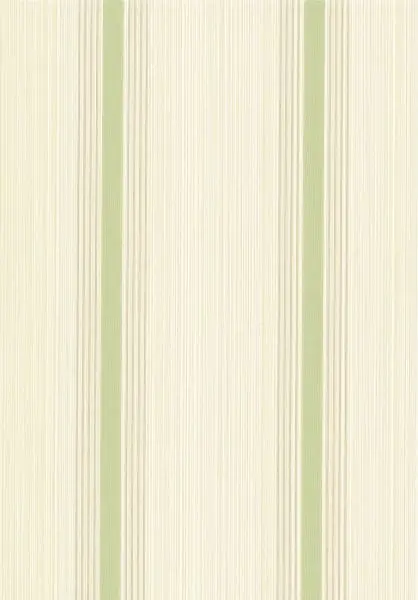 Cavendish Stripe Brush Green