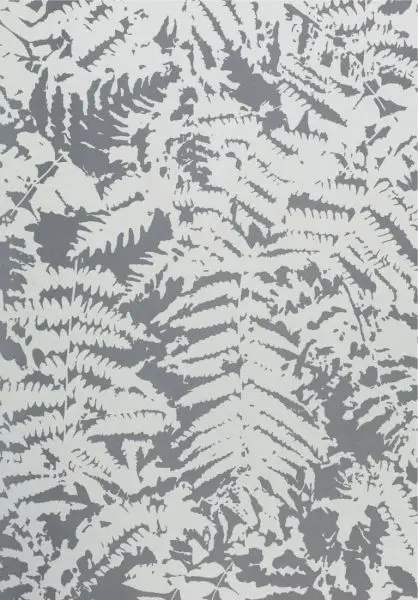 Fern - Clearing