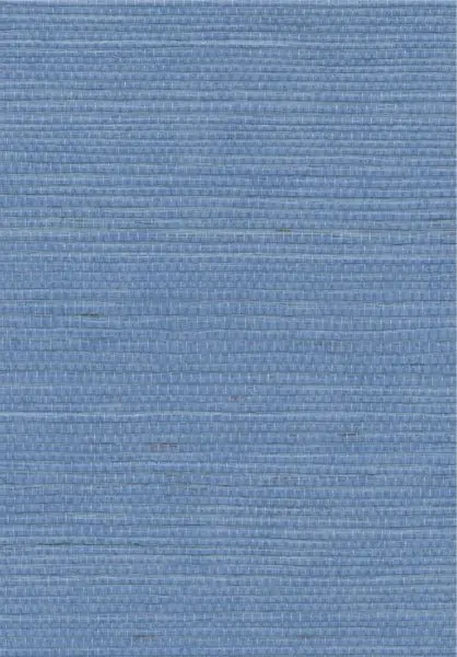 Sisal RM1069 41