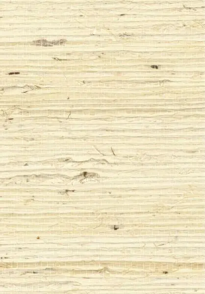 Grasscloth RM1083 01