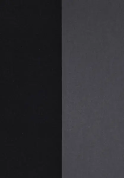 Velvet Stripe Velvet and Lin 18102 Noir de Lune