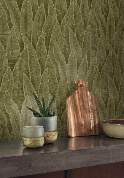 Sansevieria 201837807 Vert mousse