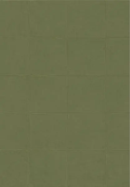 Campo 21051 Olive
