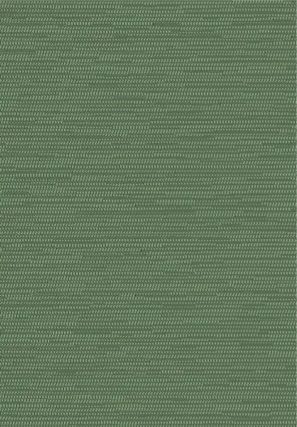 Manovo Koumbala 22063 Dark Forest